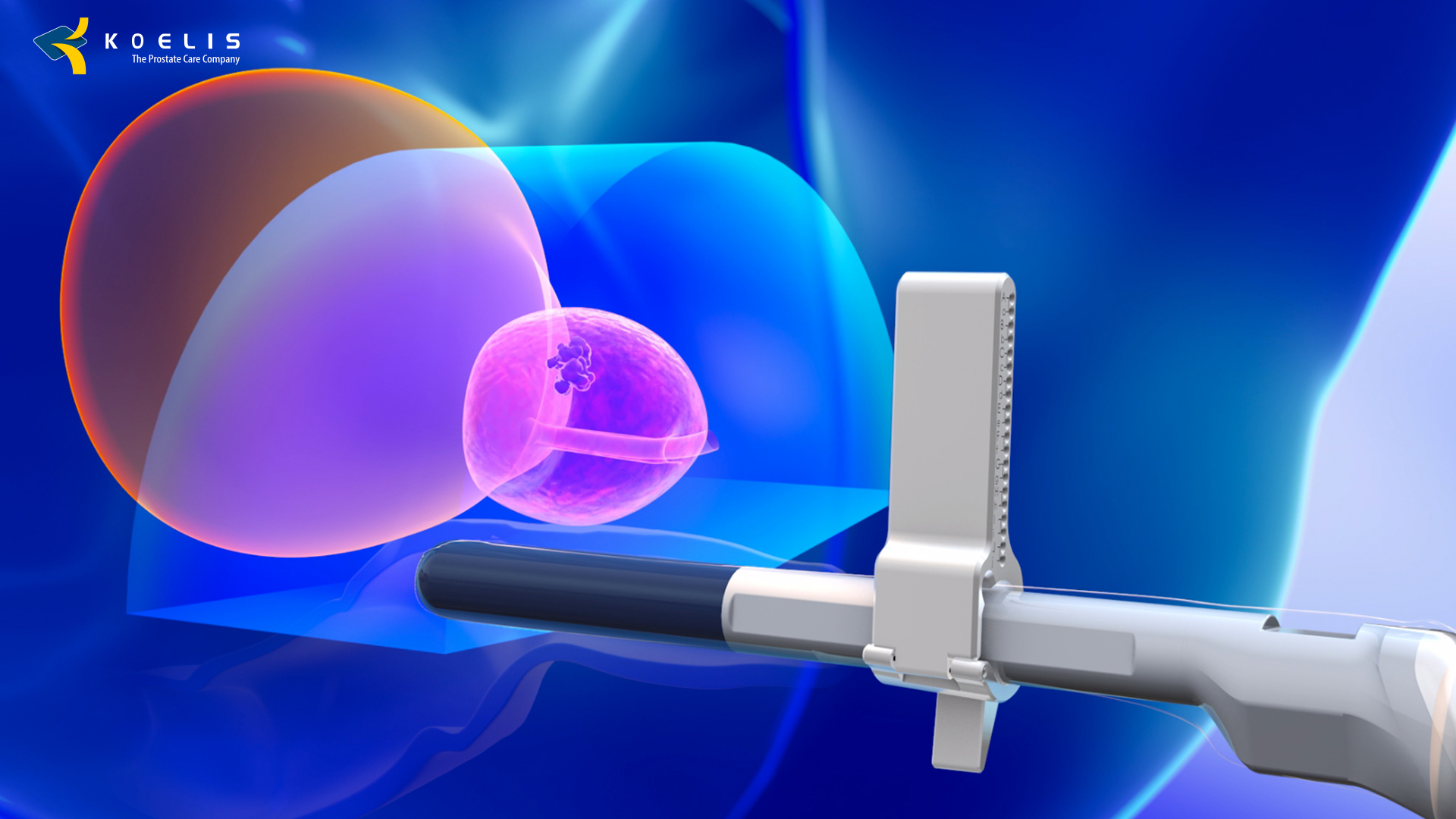 zobacz więcej zdjęć 